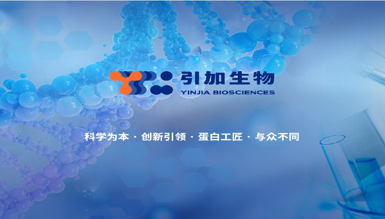 重組胰蛋白酶&Glu-C蛋白酶套裝