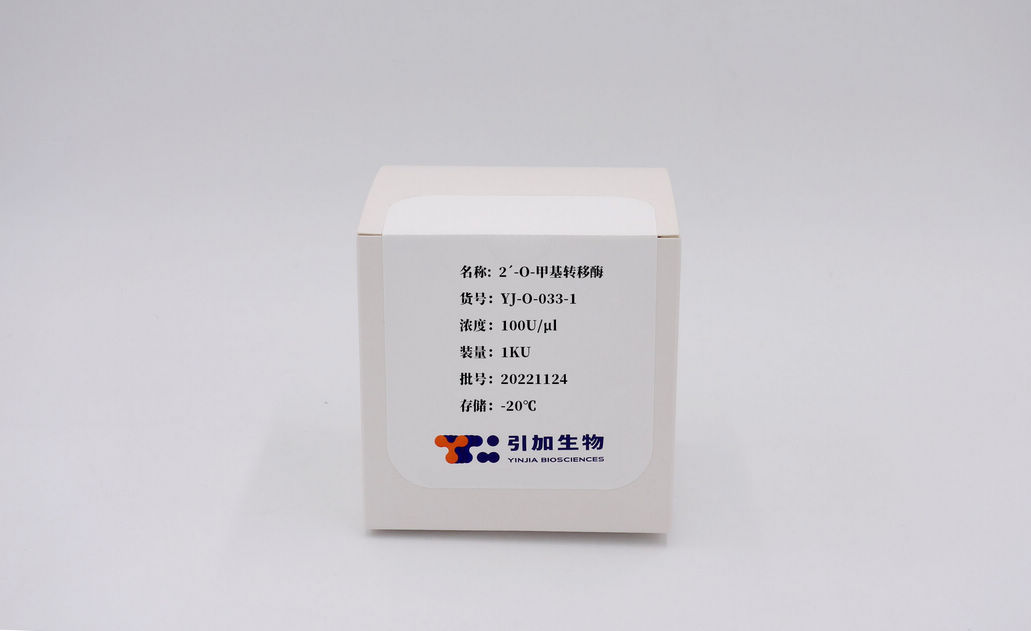 2′-O-甲基轉移酶