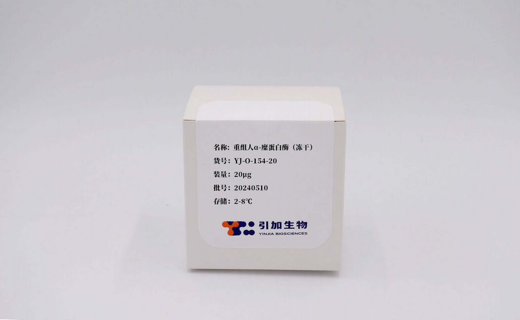 重組人α-糜蛋白酶（凍干）