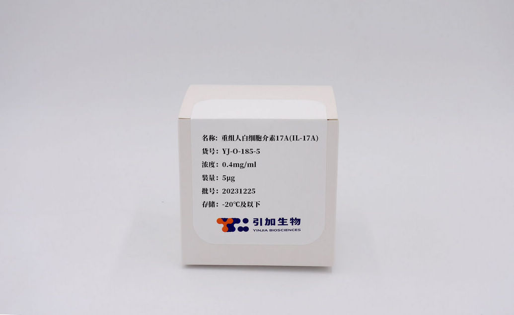 重組人白細胞介素17A（IL-17A）