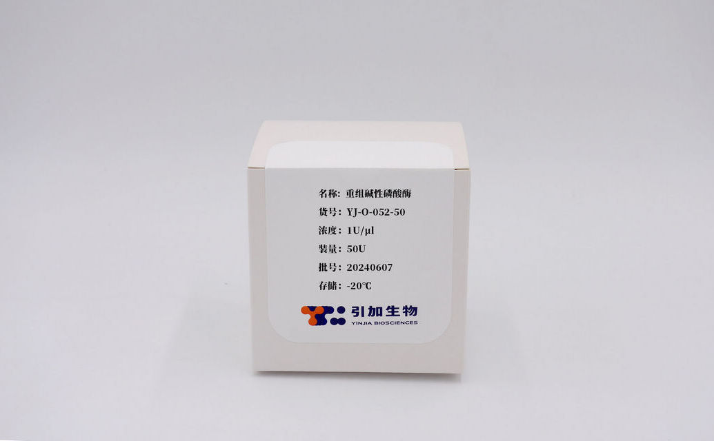 重組堿性磷酸酶