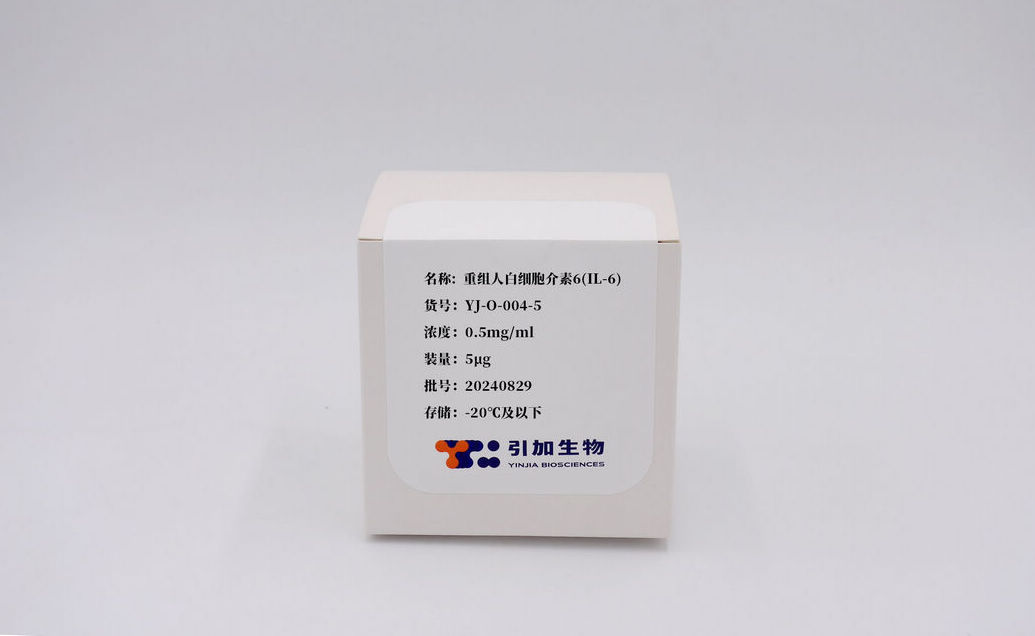 重組人白細(xì)胞介素6（IL-6）