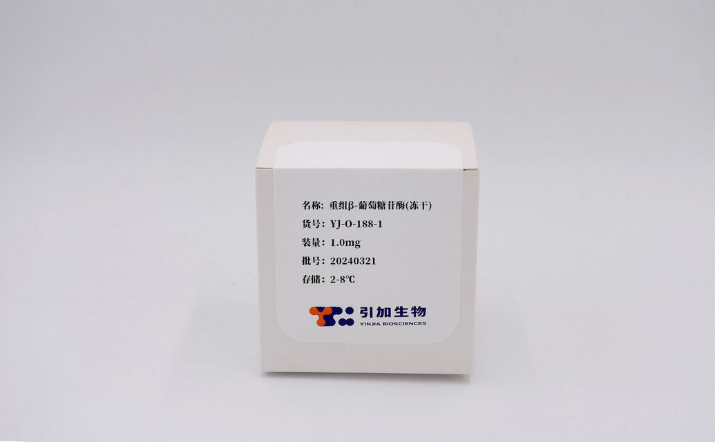 重組β-葡萄糖苷酶(凍干)