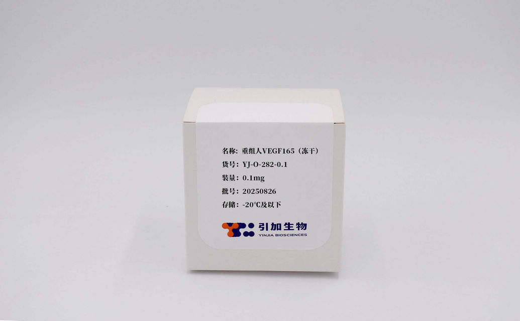 重組人VEGF165（凍干）