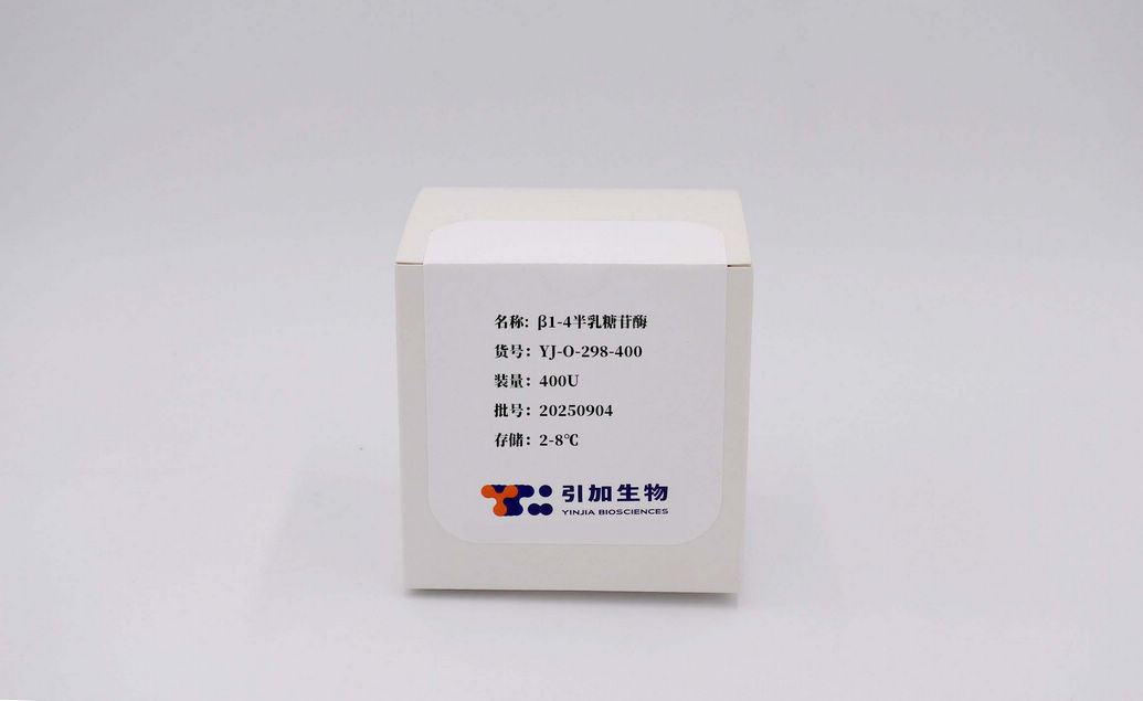 β1-4半乳糖苷酶